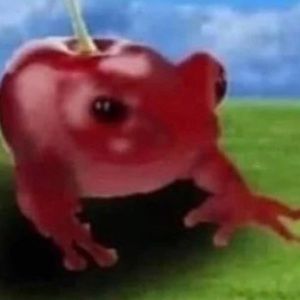 Meet your Posher, Stephen